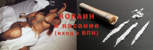 крисы Медвежьегорск
