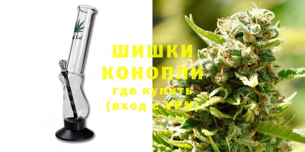 крисы Медвежьегорск