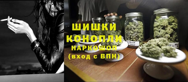 крисы Медвежьегорск