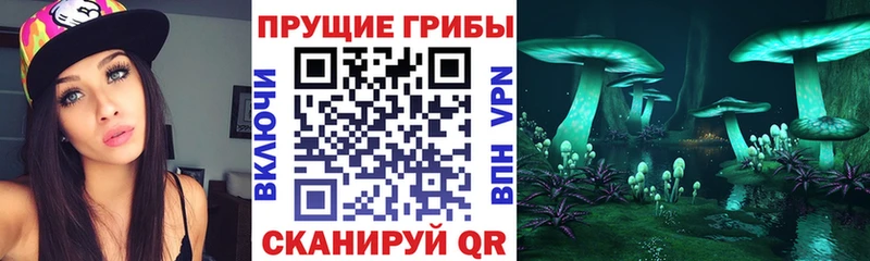 Купить закладки  Куртамыш  Галлюциногенные грибы мицелий 